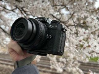 NIKON ZFC with櫻花